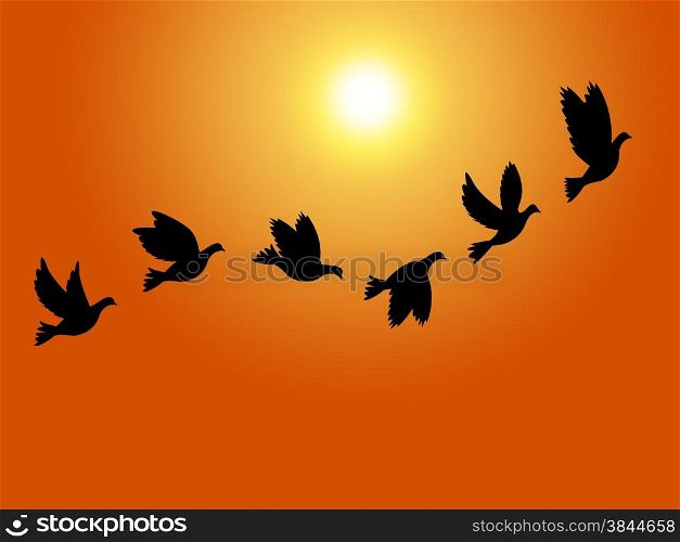 Flying Birds Indicating Summer Time And Warm