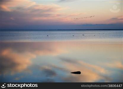Flying birds over calm water at twilight time