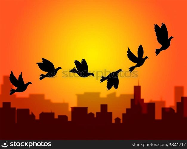 Flying Birds Representing Summer Time And Wildlife