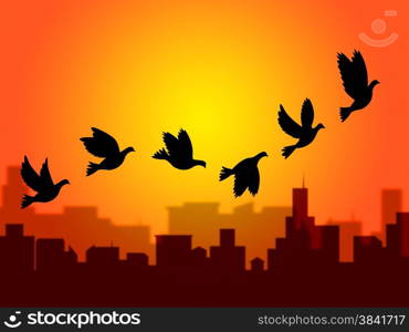 Flying Birds Representing Summer Time And Wildlife