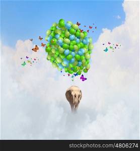 Flying elephant. Elephant flying in sky on bunch of colorful balloons