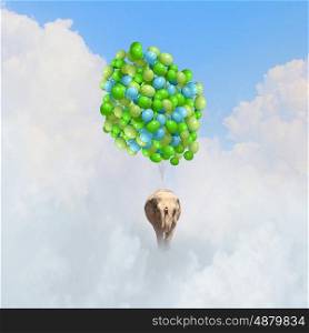 Flying elephant. Elephant flying in sky on bunch of colorful balloons