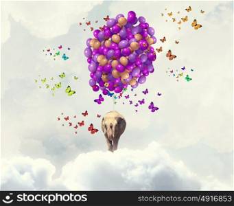 Flying elephant. Sunny image of elephant flying in sky on aerostat
