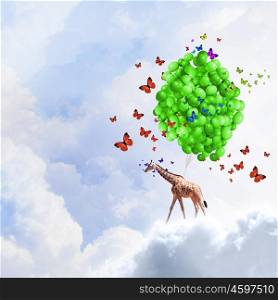 Flying giraffe. Giraffe flying high in sky on bunch of colorful balloons