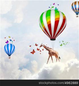 Flying giraffe. Giraffe flying high in sky on colorful aerostat