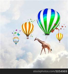 Flying giraffe. Giraffe flying high in sky on colorful aerostat