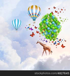 Flying giraffe. Sunny image of giraffe flying high in sky on aerostat