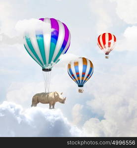 Flying rhino. Rhino flying high in sky on colorful aerostat