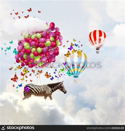 Flying zebra. Fantasy image of zebra flying in sky on aerostat