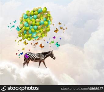 Flying zebra. Fantasy image of zebra flying in sky on aerostat