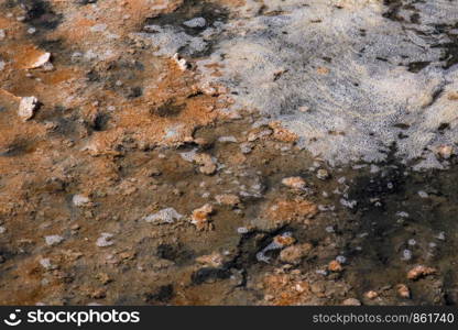 Foam on shallow salt water of salt lake in Chile