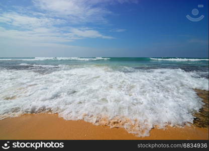 Foamy wave of the sea and sandy beach