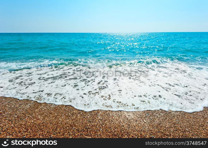 foamy wave rolls on a sandy beach