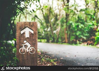 Focus bike or bicycle lane sign pole in green tree with bokeh sunlight background.