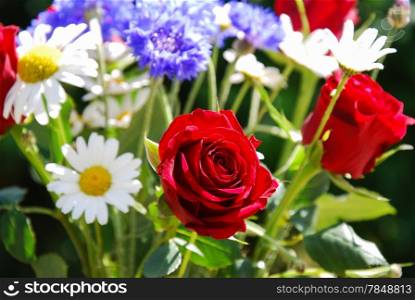 Focus on a red rose in a bouquet of summer flowers