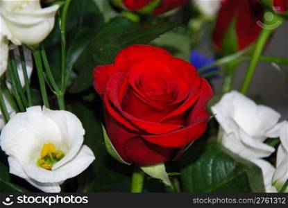 Focus on a red rose in a flower bouquet