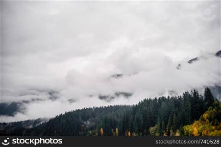 Fog and clouds covering forested mountain slope in British Columbia, Canada.