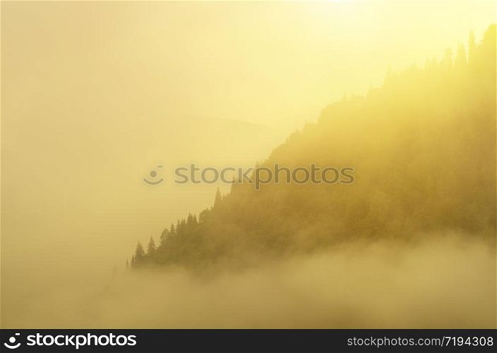 Fog and mountain morning landscape. Aerial nature composition.