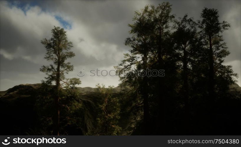 Fog and pine trees on rugged mountainside and coming storm