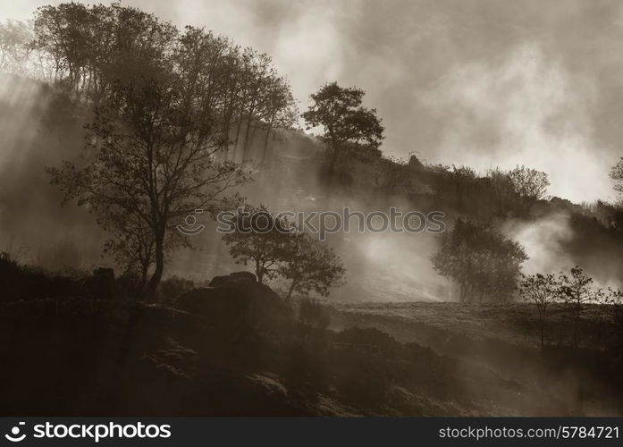 fog and smoke in the portuguese national park