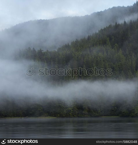 Fog at coast, Skeena-Queen Charlotte Regional District, Haida Gwaii, Graham Island, British Columbia, Canada