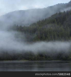 Fog at coast, Skeena-Queen Charlotte Regional District, Haida Gwaii, Graham Island, British Columbia, Canada