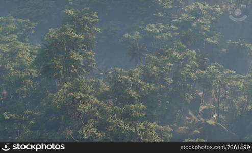 Fog covered jungle rainforest landscape