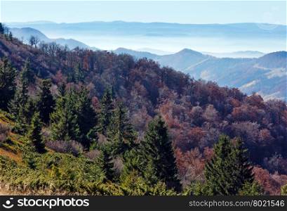 Fog in autumn Carpathian and colorful forest on slope.