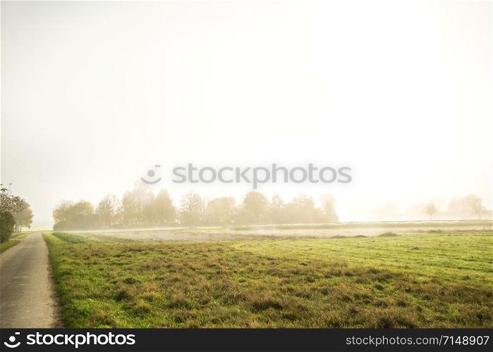 fog in autumn over fields