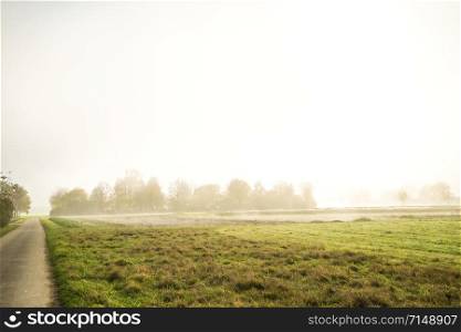fog in autumn over fields