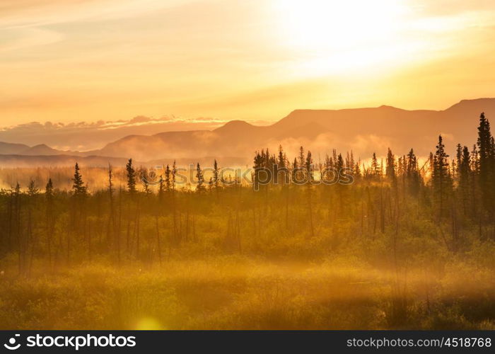 Fog in mountains