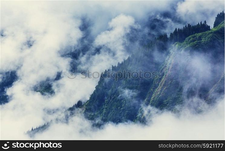 Fog in mountains