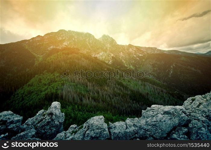 Fog in mountains. Fantasy and colorfull nature landscape. Nature conceptual image. Giewont Mountain.