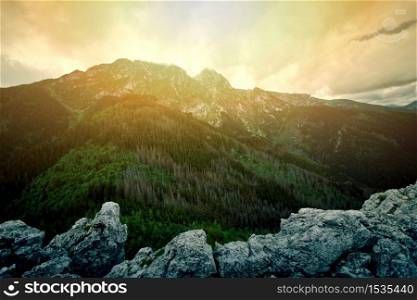 Fog in mountains. Fantasy and colorfull nature landscape. Nature conceptual image. Giewont Mountain.