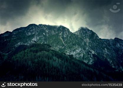 Fog in mountains. Fantasy dark nature landscape. Nature conceptual image. Giewont Mountain.