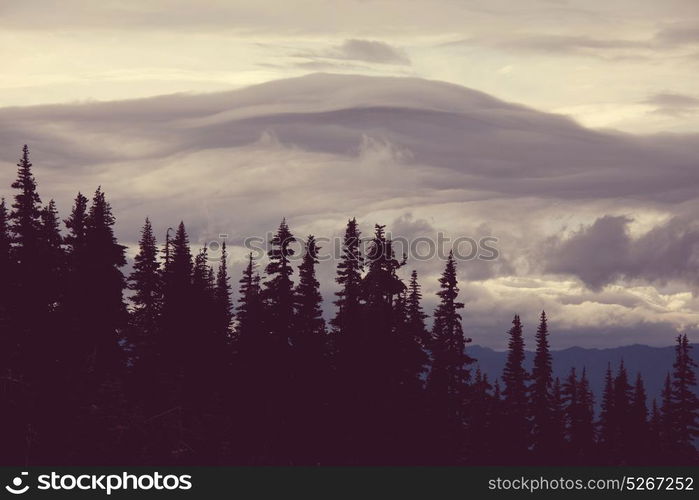 Fog in the high mountains