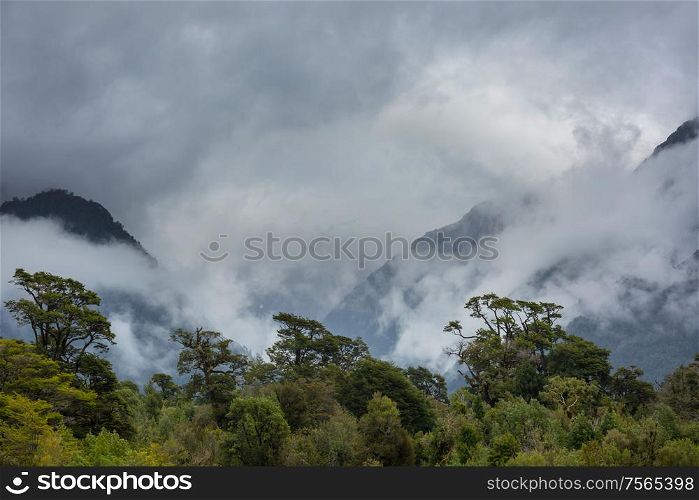 Fog in the high mountains. Beautiful natural landscapes.