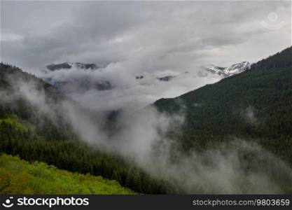 Fog in the high mountains. Beautiful natural landscapes.