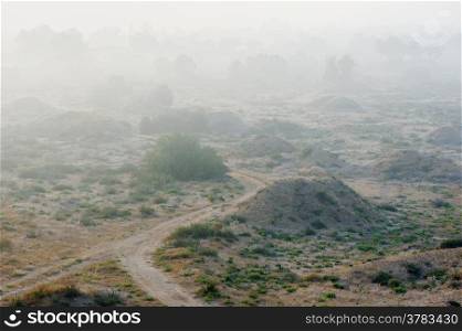 Fog in the Israel at sunrise in May
