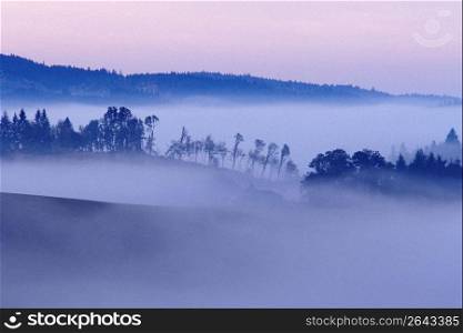 Fog in valley, Willamette Valley, Portland, Oregon