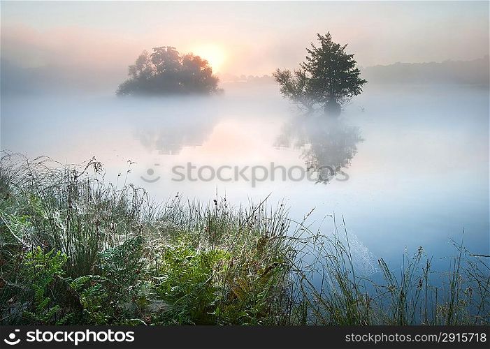 Fog mist landscpae over lake in Autumn Fall with vibrant colors