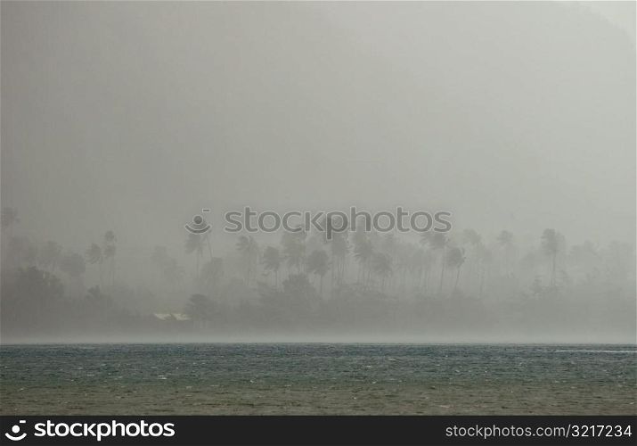 Fog obscuring trees on a beach, Moorea, Tahiti, French Polynesia, South Pacific