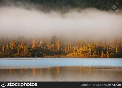 fog on lake