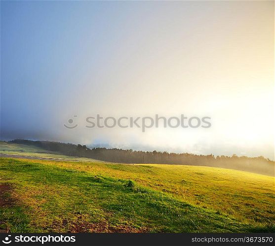 fog on meadow
