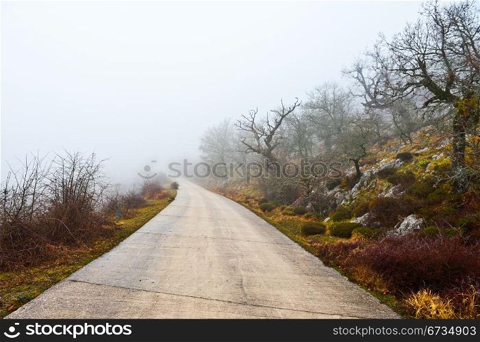 Fog on the Paved Road through a Mountain Pass in the Pyrenees