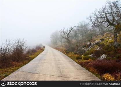 Fog on the Paved Road through a Mountain Pass in the Pyrenees