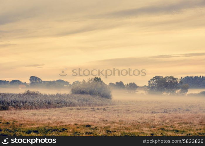 Fog over a countryside landscape with fields and trees