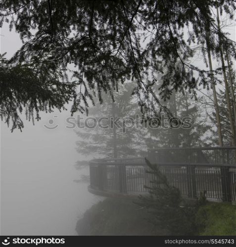 Fog over an observation point, Snoqualmie Falls, Snoqualmie, Fall City, Washington State, USA