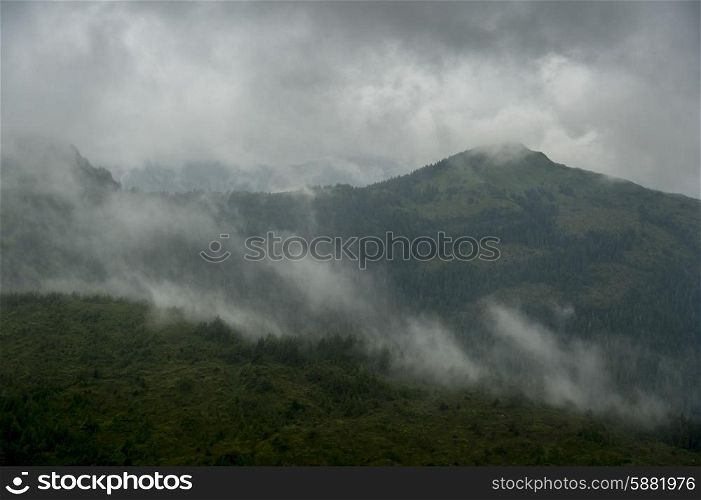 Fog over mountain, Skeena-Queen Charlotte Regional District, Haida Gwaii, Graham Island, British Columbia, Canada