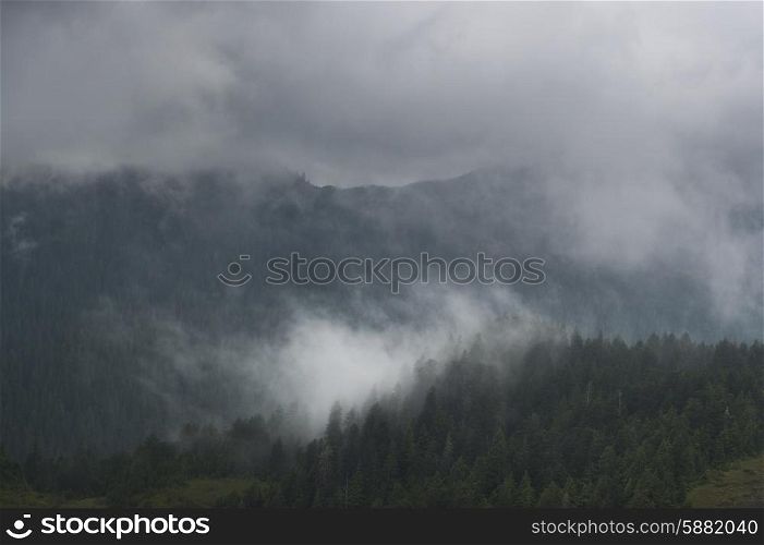 Fog over mountain, Skeena-Queen Charlotte Regional District, Haida Gwaii, Graham Island, British Columbia, Canada